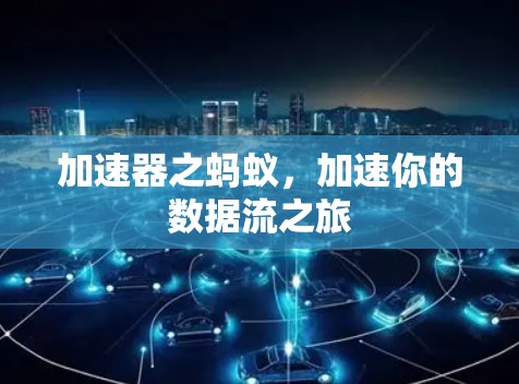 加速器之蚂蚁，加速你的数据流之旅