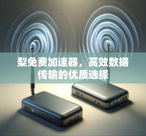 梨免费加速器,高效数据传输的优质选择 梨免费加速器,高效数据传输的优质选择