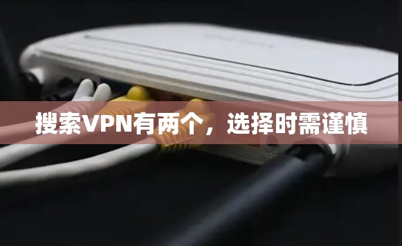 搜索VPN有两个，选择时需谨慎