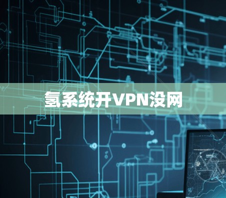 氢系统开VPN没网 氢系统开VPN没网