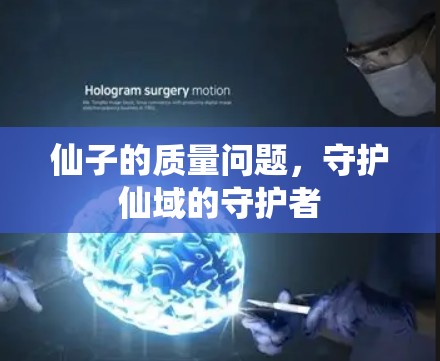 仙子的质量问题，守护仙域的守护者