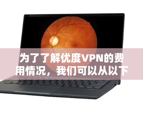 为了了解优度VPN的费用情况，我们可以从以下几个方面进行分析
