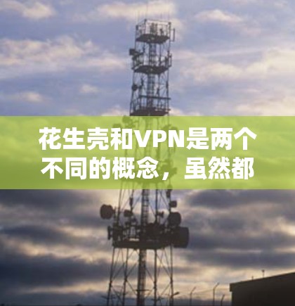 花生壳和VPN是两个不同的概念，虽然都涉及网络和安全技术的讨论，但它们在目标、方法和应用领域上有所不同。以下是对两者关系和区别的一些分析