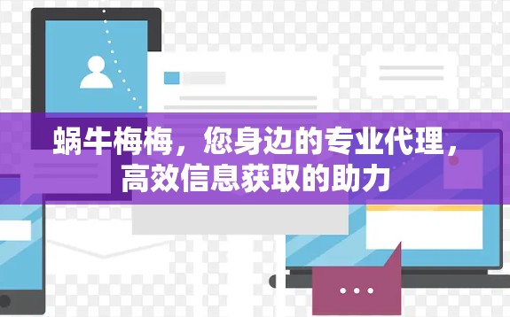 蜗牛梅梅，您身边的专业代理，高效信息获取的助力