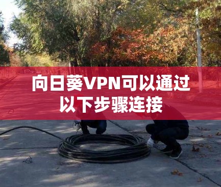 向日葵VPN可以通过以下步骤连接