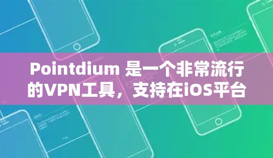 Pointdium 是一个非常流行的VPN工具，支持在iOS平台上使用。如果你正在寻找一个免费的VPN软件，Pointdium 就是一个不错的选择