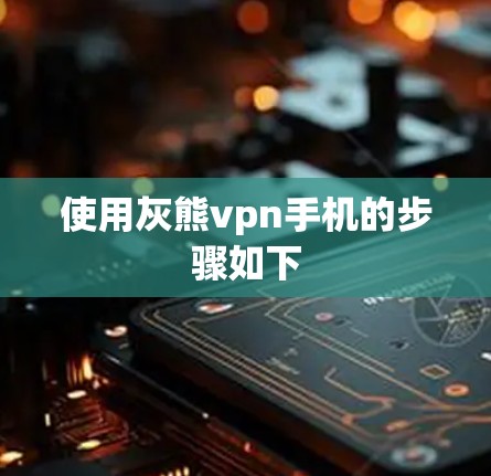 使用灰熊vpn手机的步骤如下