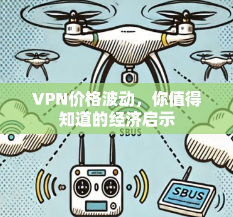 VPN价格波动，你值得知道的经济启示