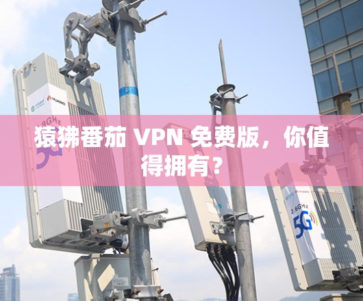 猿狒番茄 VPN 免费版，你值得拥有？