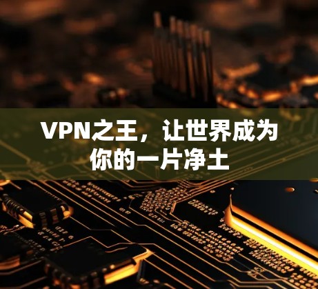 VPN之王，让世界成为你的一片净土