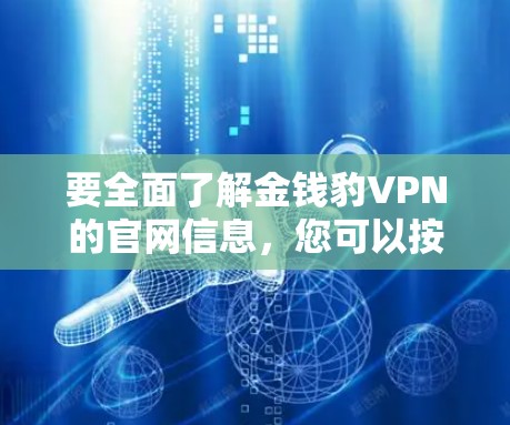 要全面了解金钱豹VPN的官网信息，您可以按照以下步骤进行